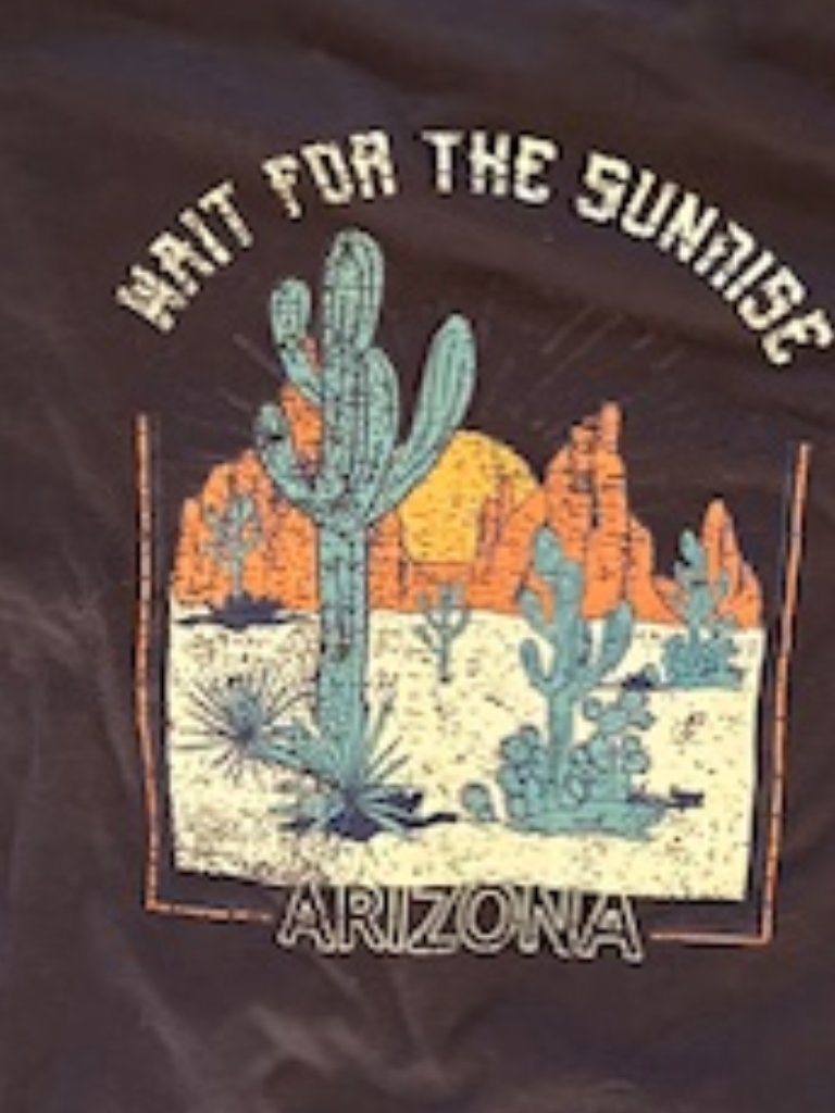Womens Size Large Tee Shirt Gray Graphic Tee T